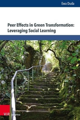 Peer Effects in Green Transformation: Leveraging Social Learning