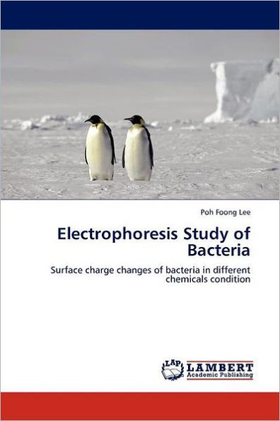 Electrophoresis Study of Bacteria