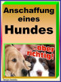 Anschaffung eines Hundes: Wie Sie sich vor Hundehändlern und Massenzüchtern erfolgreich schützen