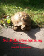 Schildkrötenhaltung: Ein Ratgeber für Schildkrötenfreunde