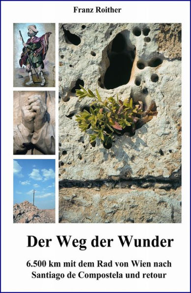 Der Weg der Wunder: 6.500 km mit dem Rad und Multipler Sklerose von Wien nach Santiago de Compostela und retour