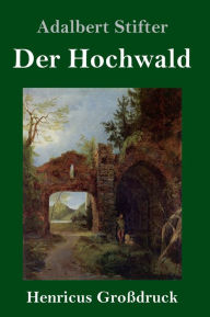 Title: Der Hochwald (Großdruck), Author: Adalbert Stifter