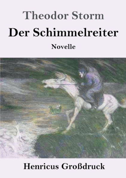 Der Schimmelreiter (Groï¿½druck): Novelle