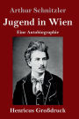 Jugend in Wien (Großdruck): Eine Autobiographie