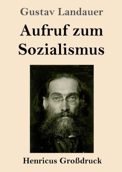 Aufruf zum Sozialismus (Groï¿½druck)