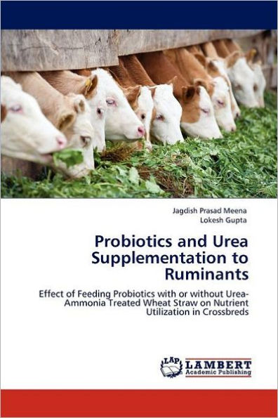 Probiotics and Urea Supplementation to Ruminants