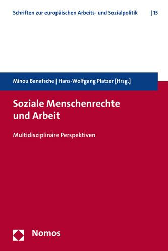 Soziale Menschenrechte und Arbeit: Multidisziplinare Perspektiven