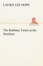 The Bobbsey Twins at the Seashore