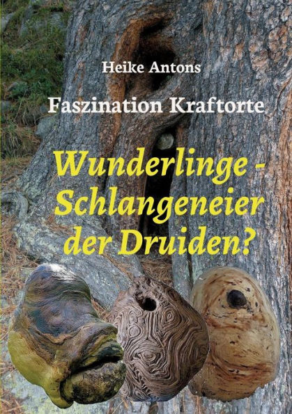 Wunderlinge - Schlangeneier der Druiden?: Faszination Kraftorte