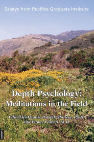 Title: Depth Psychology - Second Edition: Meditations in the Field / Edition 2, Author: Dennis Patrick Slattery