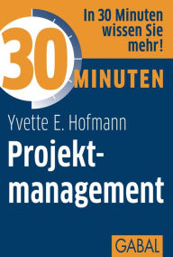 Title: 30 Minuten Projektmanagement, Author: Yvette E. Hofmann