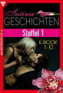 E-Book 1-10: Intime Geschichten Staffel 1 - Erotikroman