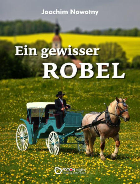 Ein gewisser Robel: Roman