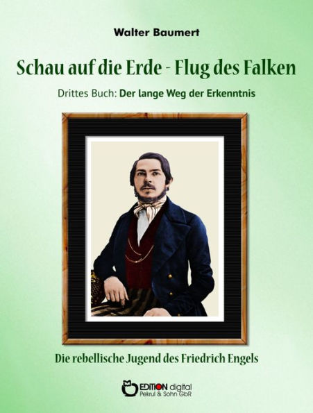 Schau auf die Erde - Der Flug des Falken. Drittes Buch: Der lange Weg der Erkenntnis: Die rebellische Jugend des Friedrich Engels