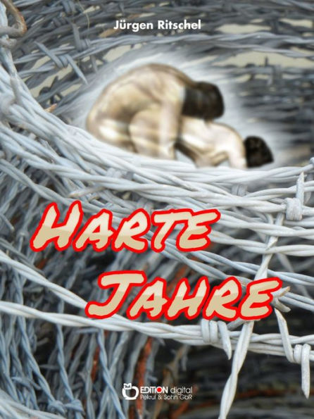 Harte Jahre: Roman