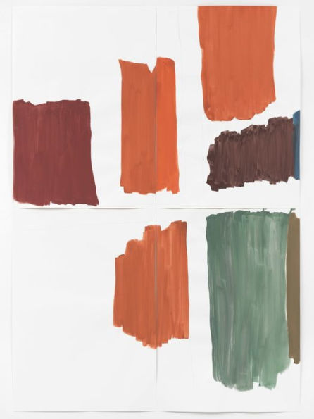 Silvia Bï¿½chli: they've turned into each other. Which is which?: Cat. Kunst Museum Winterthur