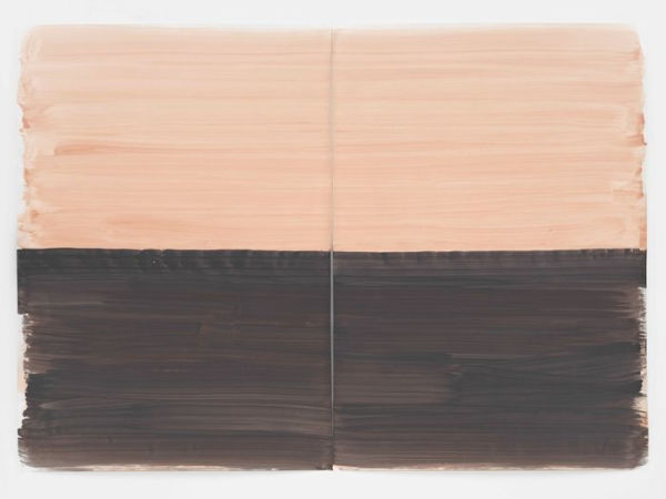 Silvia Bï¿½chli: they've turned into each other. Which is which?: Cat. Kunst Museum Winterthur