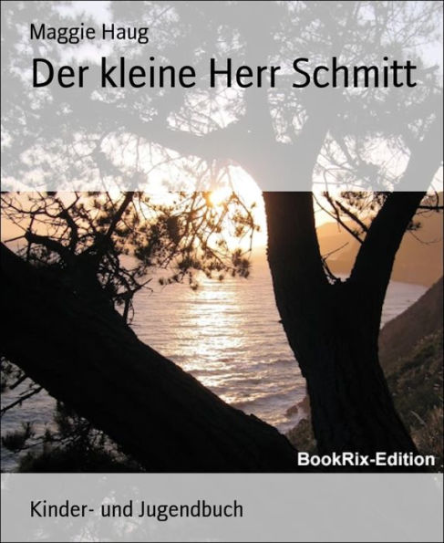 Der kleine Herr Schmitt