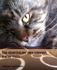 Title: Die Abenteuer des kleinen Kater Felix, Author: Rüdiger Kaufmann