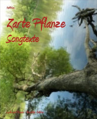 Title: Zarte Pflanze: Songtexte, Author: Matthias