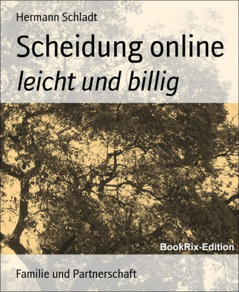 Scheidung online: leicht und billig