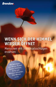 Title: Wenn sich der Himmel wieder öffnet: Menschen mit Schicksalsschlägen erzählen, Author: Nicolas Koch