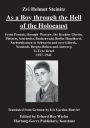 As a Boy through the Hell of the Holocaust: From Poznan, through Warsaw, the Krakow Ghetto, Plaszow, Auschwitz, Buchenwald, Berlin-Haselhorst, Sachsenhausen, to Schwerin and over Lï¿½beck, Neustadt, Bergen-Belsen and Antwerp to Eretz-Israel 1927-1946