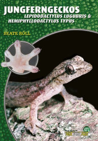 Title: Jungferngeckos: Lepidodactylus lugubris & Hemiphyllodactylus typus, Author: Beate Röll