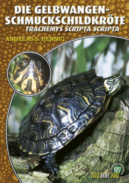 Die Gelbwangen-Schmuckschildkröte: Trachemys scripta scripta