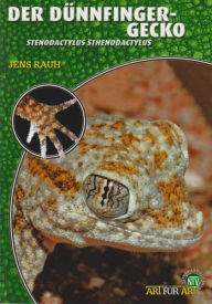 Title: Der Dünnfingergecko: Stenodactylus sthenodactylus, Author: Jens Rauh