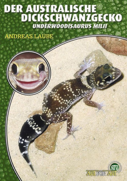 Der Australische Dickschwanzgecko: Underwoodisaurus milii