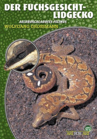 Title: Der Fuchsgesicht-Lidgecko: Aeluroscalabotes felinus, Author: Wolfgang Grossmann