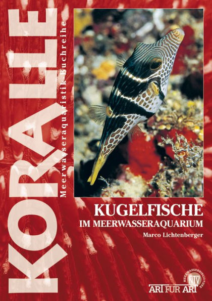 Kugelfische im Meerwasseraquarium: Die Gattungen Arothron, Canthigaster und andere