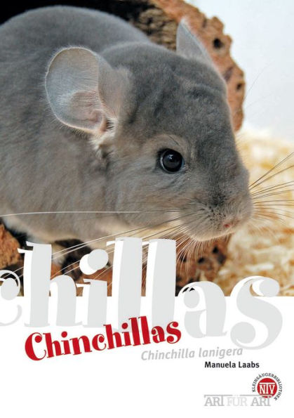 Chinchillas: Chinchilla lanigera