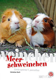 Title: Meerschweinchen: Cavia aparea f. porcellus, Author: Christian Koch