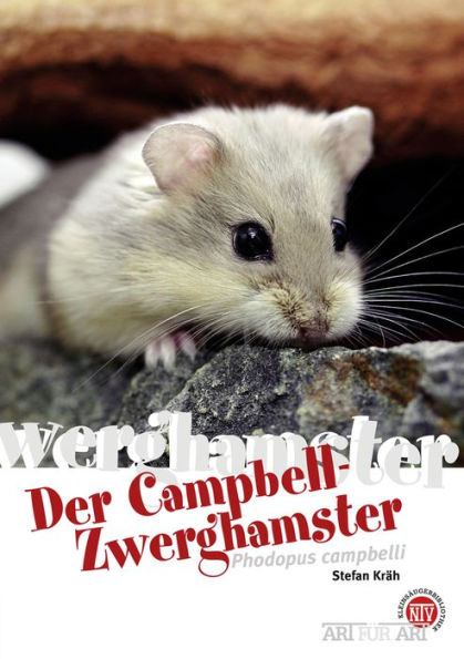 Der Campbell-Zwerghamster: Phodopus campbelli