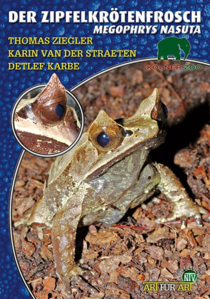 Der Zipfelkrötenfrosch: Megophrys nasuta