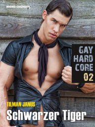 Title: Gay Hardcore Quickie 02: Schwarzer Tiger, Author: Tilman Janus