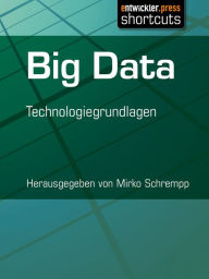 Title: Big Data: Technologiegrundlagen, Author: Mirko Schrempp