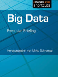 Title: Big Data: Executive Briefing, Author: Mirko Schrempp