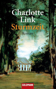 Title: Sturmzeit: Roman, Author: Charlotte Link