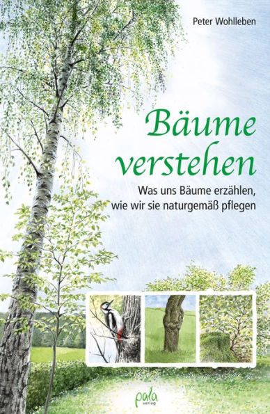 Bäume verstehen: Was uns Bäume erzählen, wie wir sie naturgemäß pflegen