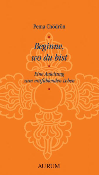 Beginne, wo du bist: Eine Anleitung zum mitfühlenden Leben