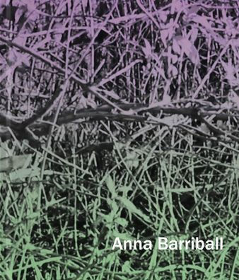 Anna Barriball