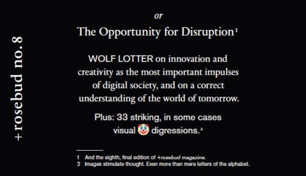 The Surprise, or the Opportunity for Disruption: Rosebud No. 8