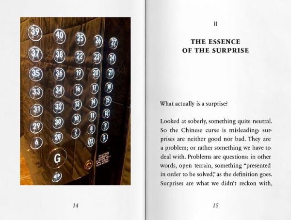 The Surprise, or the Opportunity for Disruption: Rosebud No. 8