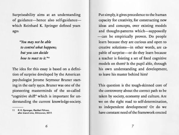 The Surprise, or the Opportunity for Disruption: Rosebud No. 8