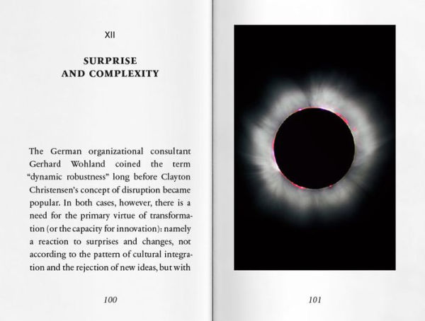 The Surprise, or the Opportunity for Disruption: Rosebud No. 8