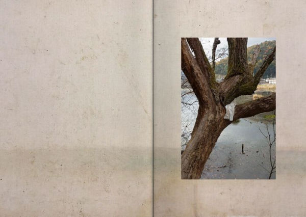 Michael Hirschbichler: Spirit Grounds