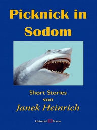 Title: Picknick in Sodom, Author: Janek Heinrich